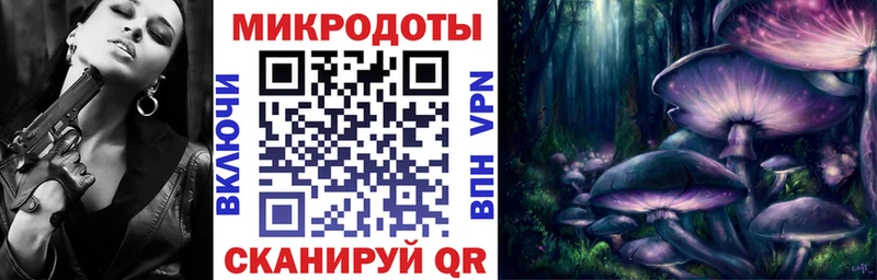 Галлюциногенные грибы Psilocybine cubensis  Елизово 